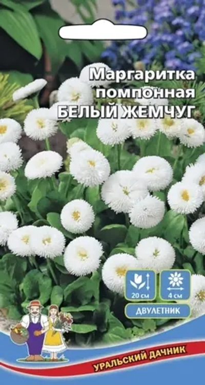 Семена Маргаритка помпонная Белый Жемчуг 0,03гр (УД) Е/П