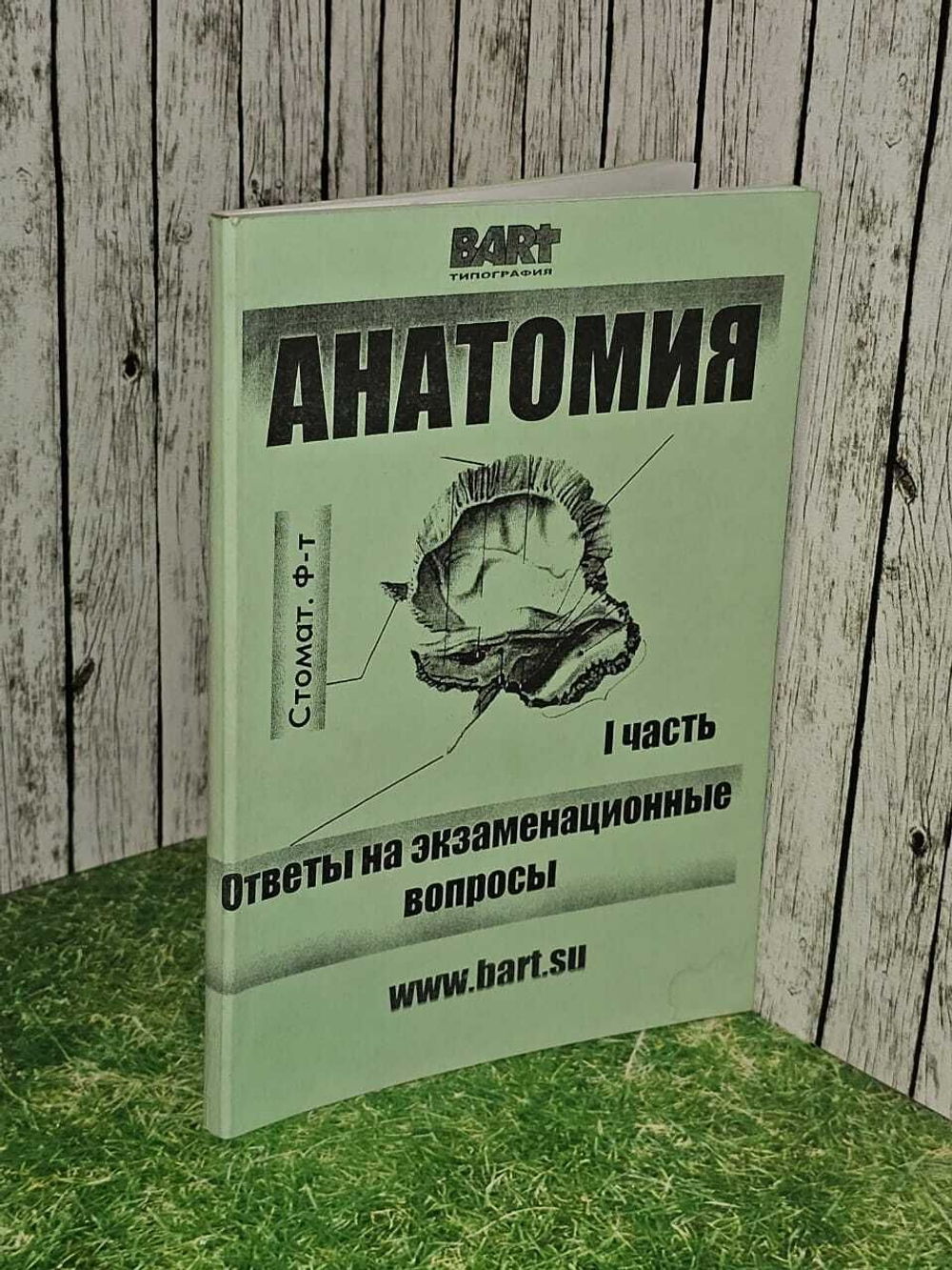 Анатомия. Стомат. Ф-т 1 часть. Ответы на экзаменационные вопросы