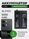 Аккумулятор для OnePlus Nord 3 5G 5000 mAh (BLP925) ORIGberry