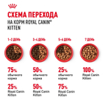 Royal Canin Kitten Киттен Корм влажный для котят в период третьей фазы роста в возрасте до 12 месяцев желе 85г