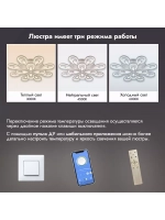 Люстра потолочная светодиодная 2034/8+4