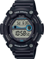 Мужские наручные часы Casio Collection WS-1300H-1A