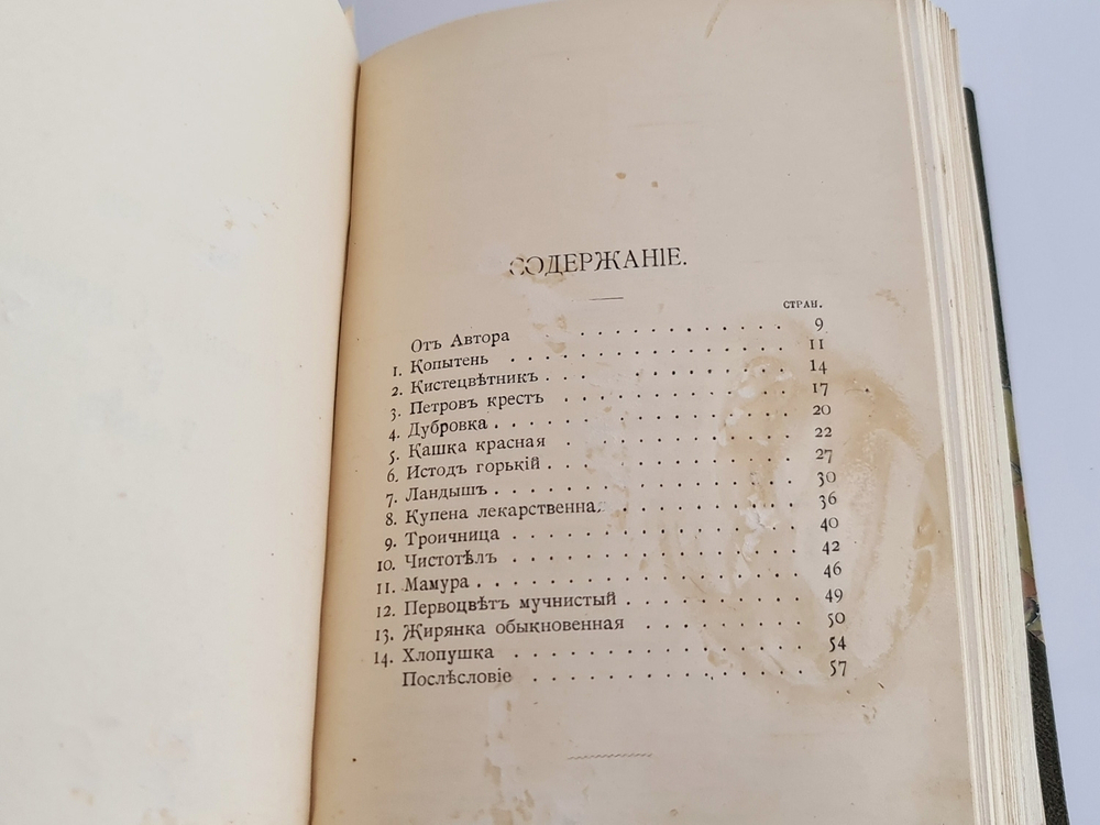 "Наши весенние цветы. Серия 1-3. Наши летние цветы. Серия 1-2". Д.Н.Кайгородов. 1915 г.