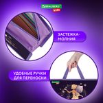 Папка на молнии с ручками BRAUBERG KIDS А4, 1 отделение, пластик, 100 мм, "Gold fairy", 272117