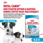 Royal Canin Mini Starter Мини Стартер Корм сухой для собак мелких пород в конце беременности в период лактации для щенков до 2-х месяцев 8,5кг