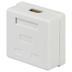 Розетка компьютерная RJ-45 ЭРА RJ02UN категория 5е неэкранированная 2-порта упаковка 30 шт | Электротовары