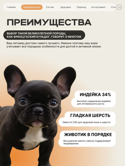 Корм сухой для щенков породы Французский бульдог, с индейкой, 12 кг, QUATTRO
