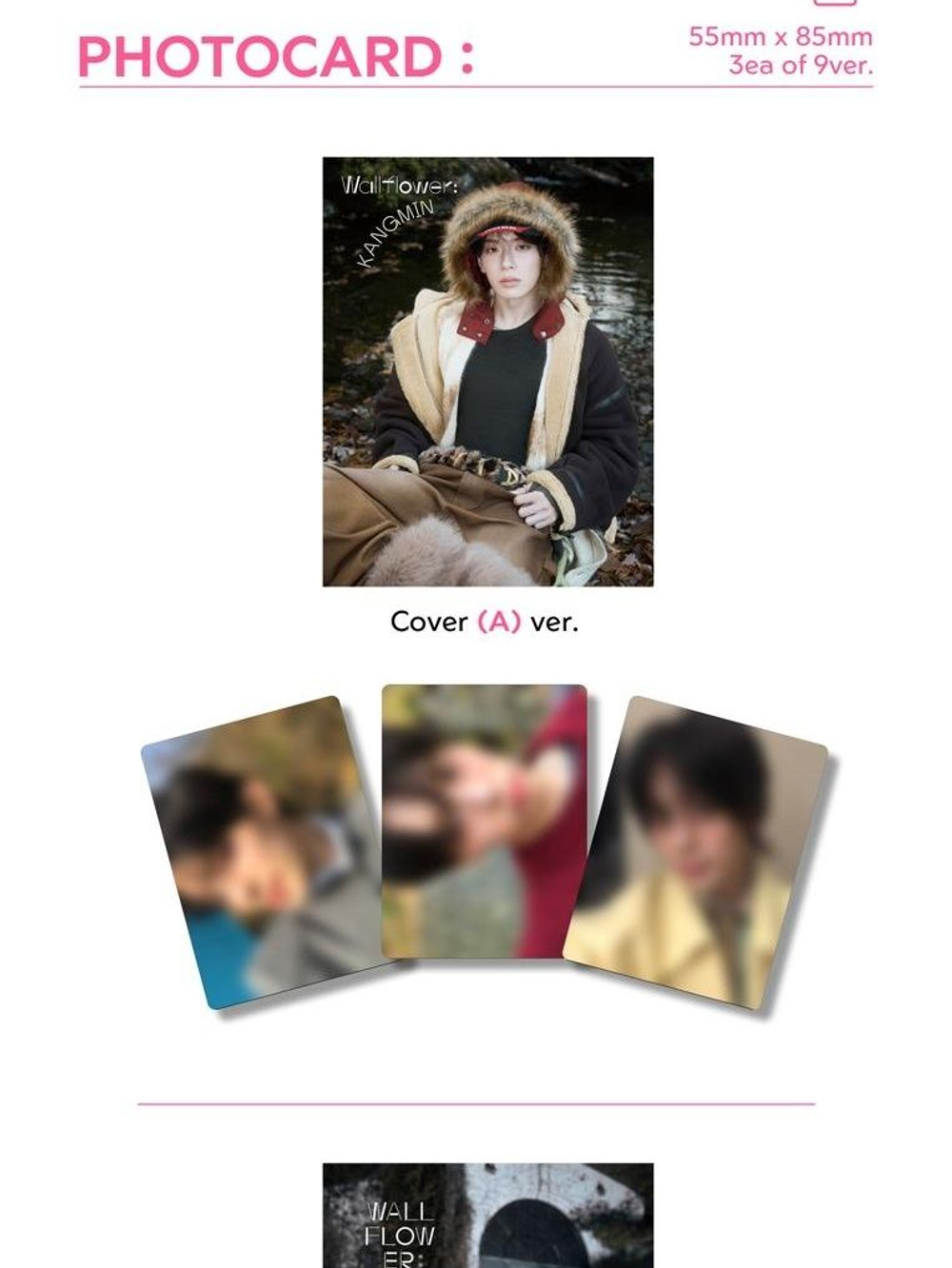 публикация esquire PHOTOBOOK - WALLFLOWER KANGMIN KANGMIN B Type