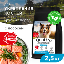 Корм сухой для взрослых собак крупных пород, премиум полнорационный комплекс, для укрепления костей у собак, с лососем, 2,5 кг, QUATTRO