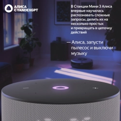 Умная колонка Yandex Станция Мини 3 Алиса серый 12W 1.0 BT/Wi-Fi (YNDX-00027GRY)