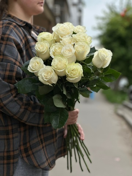 Белая роза сорт «Мондиаль» (Эквадор)