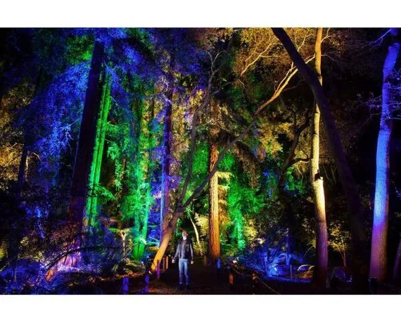 Elation SixPar 200WMG прожектор LED PAR