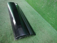 DSCN1621.JPG