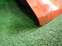 DSCN0220.JPG