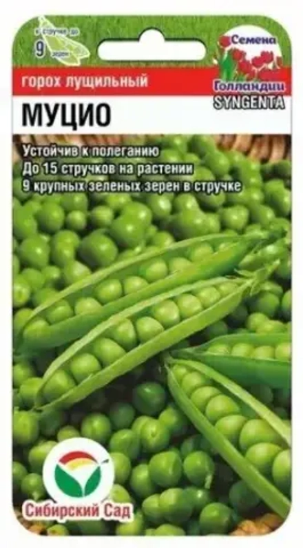 Горох Муцио 4г (Сиб Сад)
