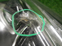 DSCN0838.JPG