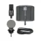 SE Electronics X1 S Studio Bundle