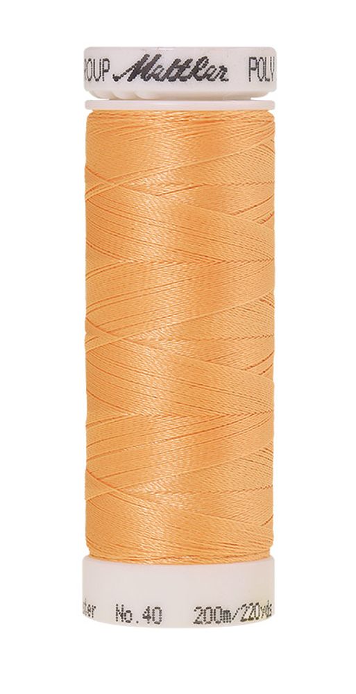 Нить вышивальная Mettler Poly Sheen 40 (200 м), 5 кат. | цв. 1362 Нить вышивальная Mettler Poly Sheen 40 (200 м), 5 кат. | цв. 1362