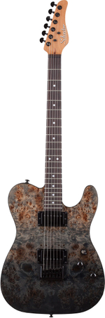 schecter_pt_standard_bfbb.jpg