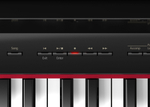 Roland GP 609-PE