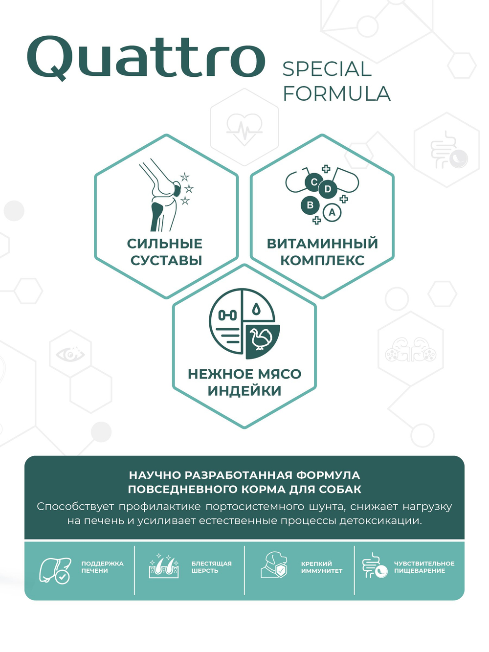 Корм для собак средних и крупных пород SF Hepato Flow, (портосистемный шунт), 3 кг, QUATTRO