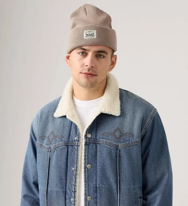 Шапка LEVI'S BACKPATCH BEANIE FUNGI