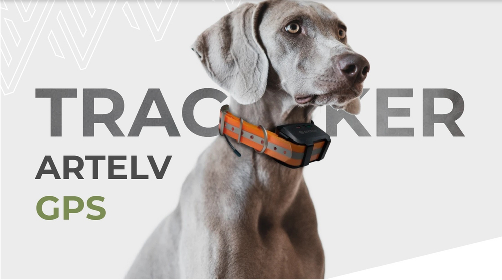 Ошейник Artelv Tracker