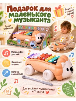 Металлофон детский Львёнок (1002E-D)
