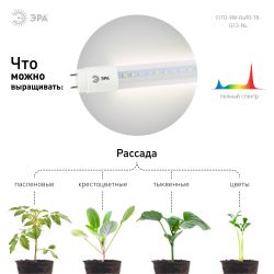 Фитолампа для растений светодиодная ЭРА FITO-9W-Ra90-Т8-G13-NL полного спектра 9 Вт Т8 G13 | Фитолампы T8