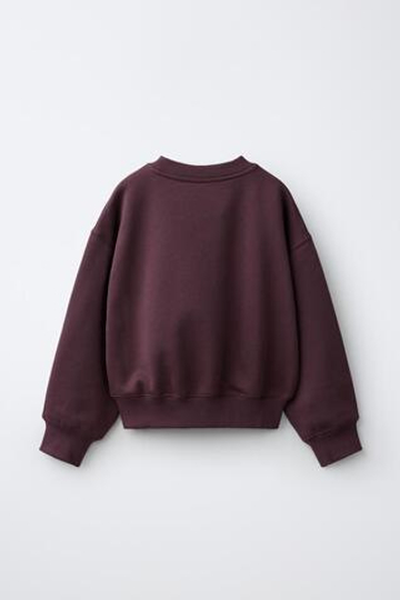 ZARA ТОЛСТОВКА С ПРИНТОМ В СТИЛЕ ПРЕППИ, БУРГУНДИ