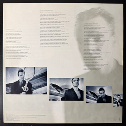Виниловая пластинка Sting - The Dream Of The Blue Turtles LP