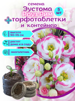 Семена Эустома высокорослая многолетняя Белая, Лизиантус комнатный + торфяные таблетки Jiffy в подарок, 5шт