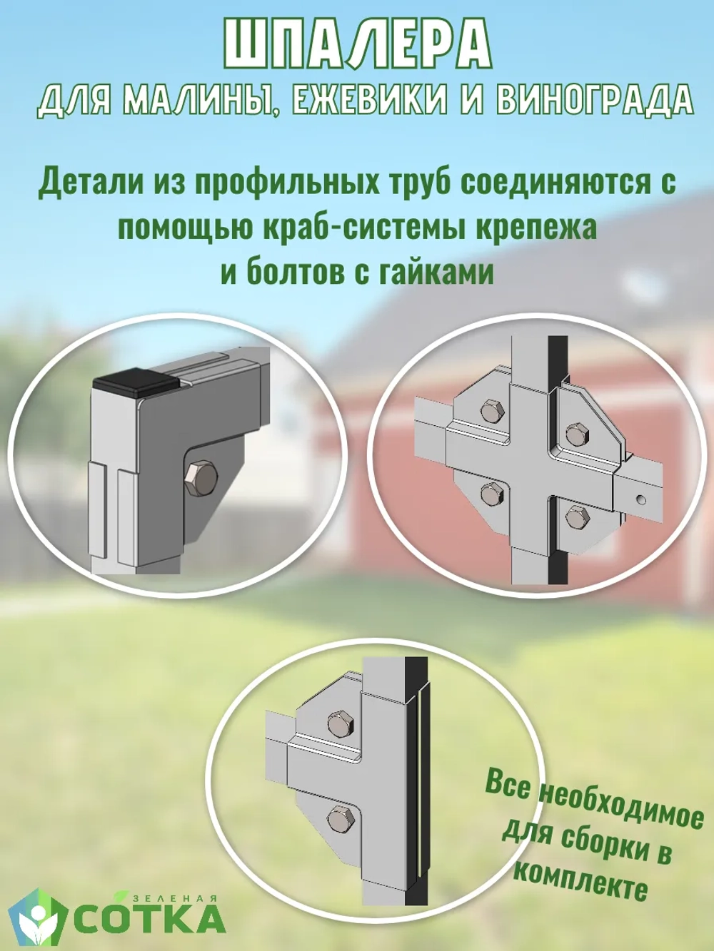 Шпалера для малины, ежевики и винограда