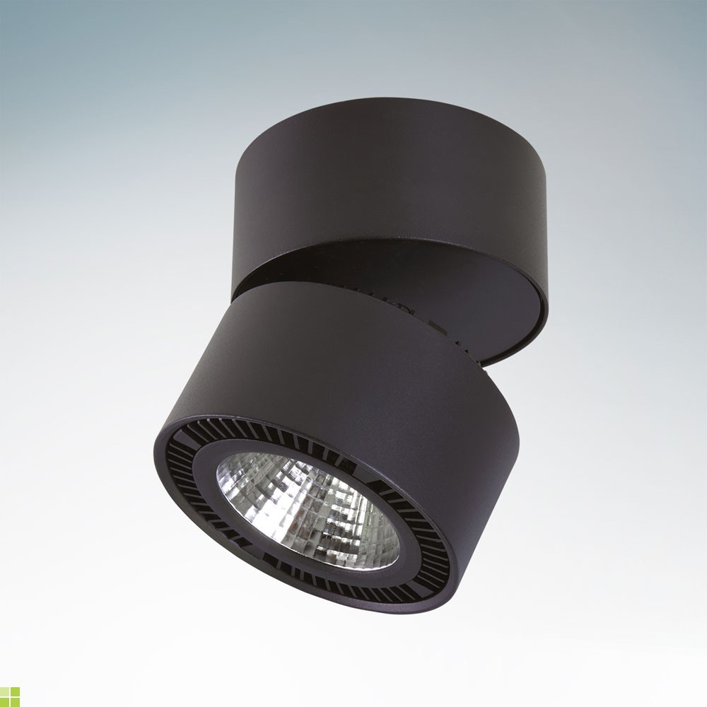 Светильник точечный Lightstar Forte Muro 214817