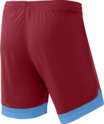 Шорты игровые DIVISION PerFormDRY Union Shorts, гранатовый/голубой/белый