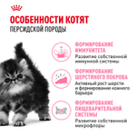 Royal Canin Persian Kitten Персиан Киттен Корм сухой для котят персидской породы до 12 месяцев 400г