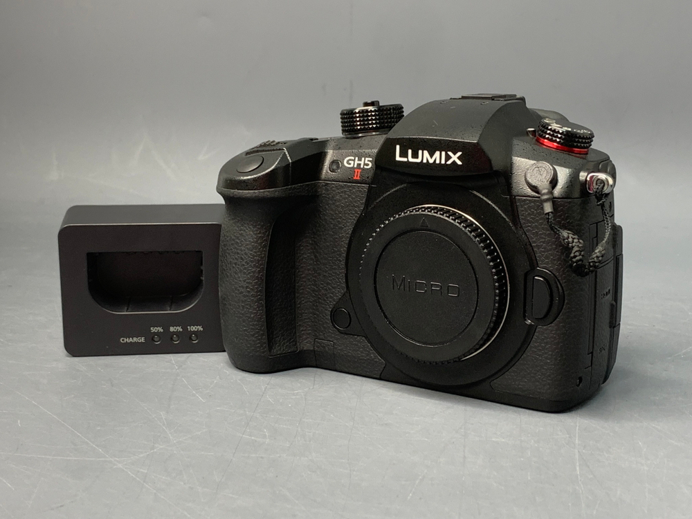 Panasonic Lumix DC-GH5 II Body 5680 кадров