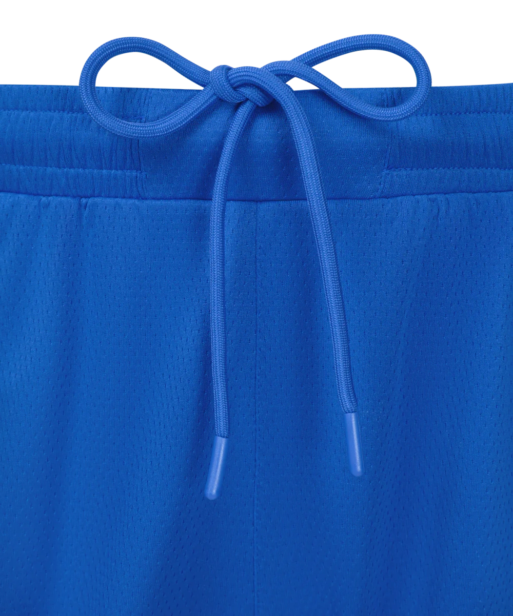 Шорты баскетбольные JÖGEL DIVISION PerFormDRY Shorts Z2, синий