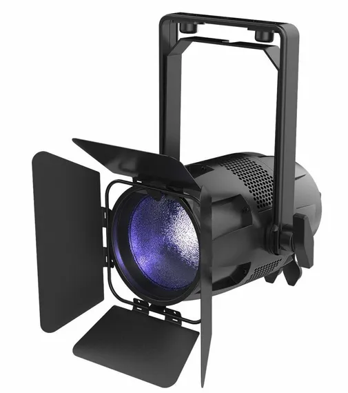 ACME STAGE PAR COLOUR D15 - светодиодный прожектор PAR, 150Вт