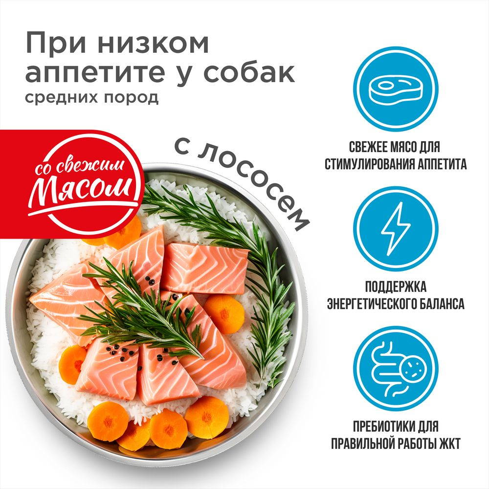 Корм сухой для взрослых собак средних пород, премиум полнорационный комплекс, низкий аппетит, с лососем, 12 кг, QUATTRO