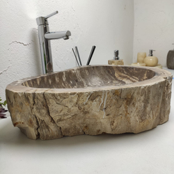 Раковина из окаменелого дерева OD-61297 54x46x15 из натурального камня
