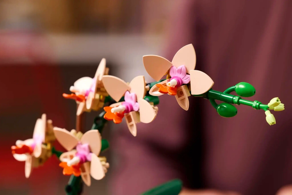 Конструктор LEGO Botanical Collection 10343 Мини орхидея