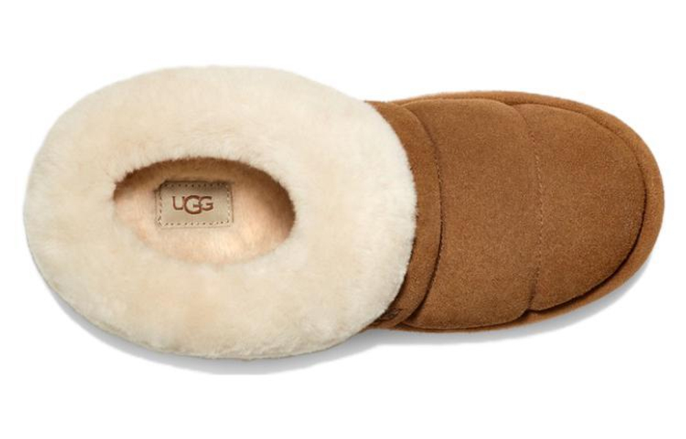 UGG Угги Tazzlita, каштановый
