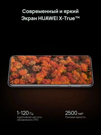 Смартфон HUAWEI Mate 70 Pro 12/512 Black