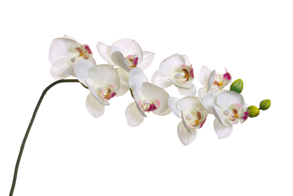 Искусственный цветок Орxидея белая 85см Garda Decor 8J-1219S0003