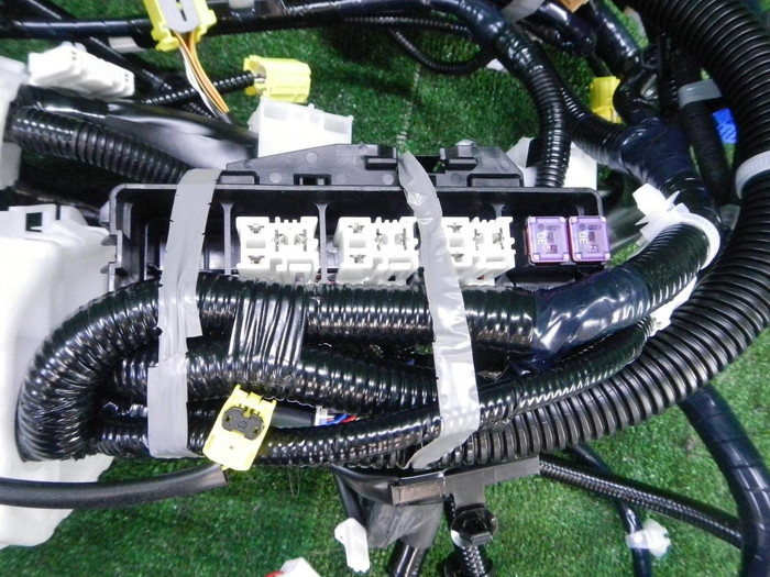 DSCN9520.JPG
