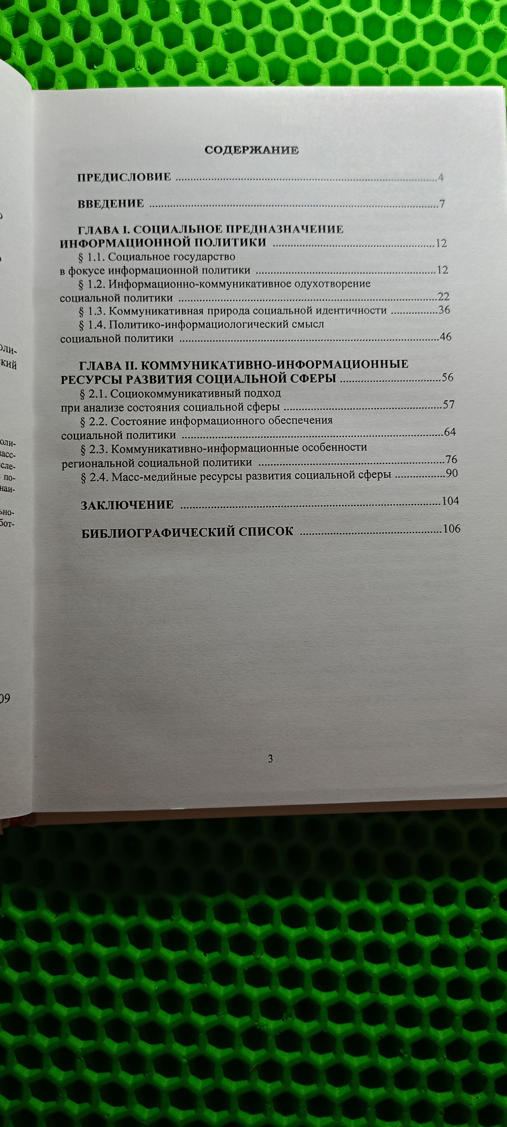 Информация и коммуникация в социальной политике