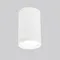 Потолочный светильник уличный Light 35128/H белый Elektrostandard