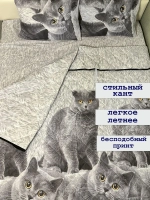 Покрывало - одеяло 1,5 спальное всесезонное стеганное
